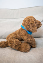 Jas & Mika Baloo Bamse Limited