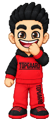 Topgaard